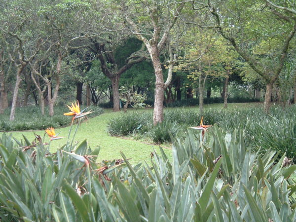 Ibirapuera Park