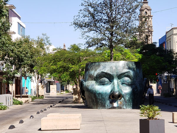 Head Planter Guadalajara